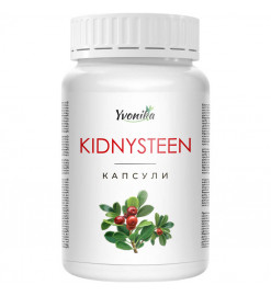 Kidnysteen (Кідністін) для підтримки нирок, 90 капс.